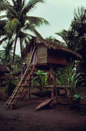 Papua . Una caratteristica capanna su palafitte lungo il fiume Sepik.De Agostini Picture Library/A. Facchinetti