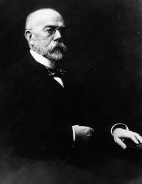 Robert Koch. De Agostini Picture Library