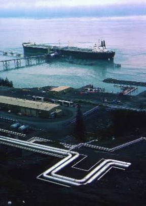 Oleodotto . Terminal di un oleodotto e attracco per petroliere in Alaska.De Agostini Picture Library/M. Bertinetti