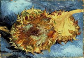 Paesi Bassi . Girasoli di Vincent Van Gogh (New York, Metropolitan Museum).De Agostini Picture Library