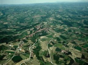 Italia . Paesaggio delle Langhe nei pressi di Diano d'Alba (Cuneo).De Agostini Picture Library/Pubbli Aer Foto