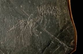 Trias. Peneideo del Triassico superiore.De Agostini Picture Library/G. Cigolini