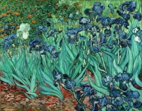 Vincent Van Gogh. Iris (Collezione privata).De Agostini Picture Library