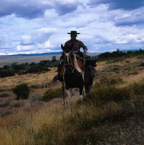 Argentina. Gaucho a cavallo. De Agostini Picture Library/P.Jaccod