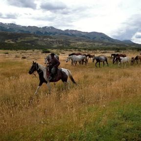 Pampa . Un gaucho conduce i cavalli al pascolo.De Agostini Picture Library/P. Jaccod