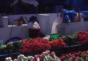 Messico. Scorcio del mercato di San CristÃ³bal de las Casas, nel Chiapas; i piccoli coltivatori del Paese sono ancora legati a una agricoltura di pura sussistenza.De Agostini Picture Library/G. SioÃ«n
