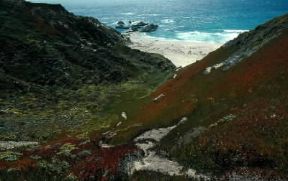 America. Un tratto della costa californiana presso Big Sur.De Agostini Picture Library/G. SioÃ«n