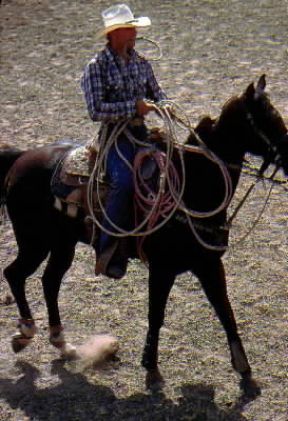 Lazo manovrato da un cow-boy texano.De Agostini Picture Library/G. SioÃ«n