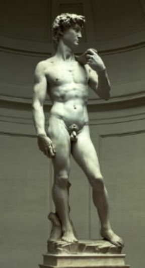 Michelangelo Buonarroti. David (Firenze, Galleria dell'Accademia).De Agostini Picture Library/G. Nimatallah