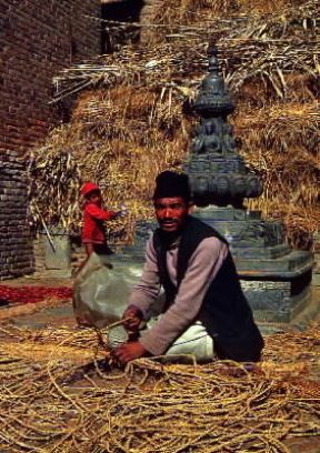 Nepal. Fabbricazione artigianale di stuoie.G. SioÃ«n