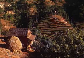 Nepal. Abitazione in una zona agricola a terrazzamento.De Agostini Picture Library / G. SioÃ«n