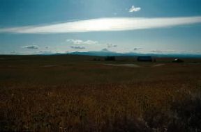 America. Campo di cereali nell'Oregon.De Agostini Picture Library/G. SioÃ«n