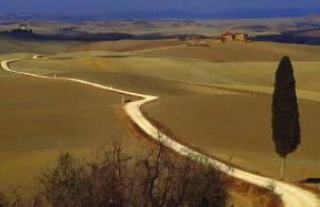 Toscana. Paesaggio nel Senese.De Agostini Picture Library/G. Berengo Gardin