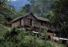 Malaysia. Abitazione di aborigeni a Pahang.De Agostini Picture Library/N. Cirani