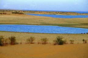 Egitto . Il lago Nasser nei pressi di Abu Simbel nella Nubia.De Agostini Picture Library/A. Vergani