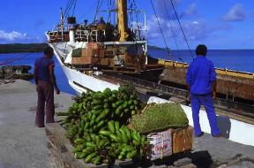 Nuova Caledonia . Il porto di Tadine, nell'isola di MarÃ© (isole della LealtÃ ).De Agostini Picture Library/C. Rives
