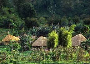 Ruanda. Villaggio di tipiche capanne a pianta circolare.De Agostini Picture Library / K. Muller