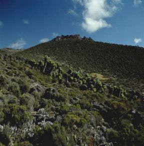 Kilimangiaro. Una veduta del monte Seneci, che raggiunge quota 3800 m.De Agostini Picture Library/P. Jaccod