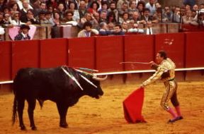 Corrida. Il matador armato di volapiÃ© sta per finire il toro.De Agostini Picture Library / C. Sappa