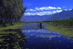 India . Un tratto del lago Dal, alla periferia di Srinagar, nella regione del Kashmir.De Agostini Picture Library/M. Bertinetti