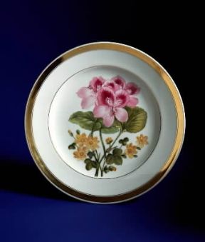 Ceramica. Piatto con fiori della manifattura di Vienna (Vienna, Hofburg Sibelkammer).De Agostini Picture Library/G. Nimatallah