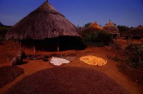Uganda. Un tipico insediamento rurale nel villaggio di Karamoia.De Agostini Picture Library/M. Brambilla