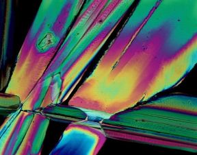 Macrofotografia di cristalli di acido urico. Qualora la ripresa dei dettagli richieda notevoli ingrandimenti si usano obiettivi speciali, detti 