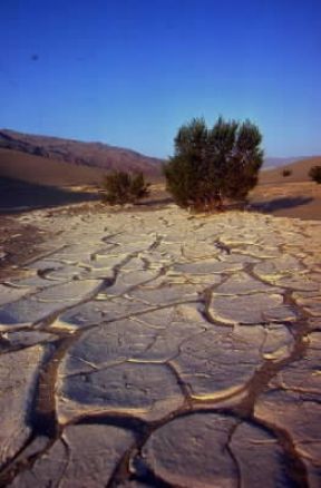 Death Valley . Paesaggio tipico dell'arida zona californiana.De Agostini Picture Library/G. SioÃ«n