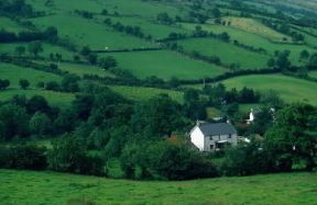 Irlanda . Paesaggio agricolo sull'altopiano basaltico di Antrim, nell'Irlanda nord-orientale.De Agostini Picture Library/G. Nimatallah