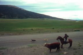 Cile. Gaucho di un allevamento bovino nella Patagonia cilena.De Agostini Picture Library/G. SioÃ«n