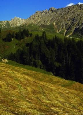 Alpe di Siusi. L'altopiano con il monte Sciliar sullo sfondo.De Agostini Picture Library/G. Roli