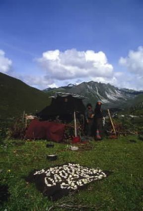 Bhutan . Gruppo di nomadi.De Agostini Picture Library/G. De Vecchi