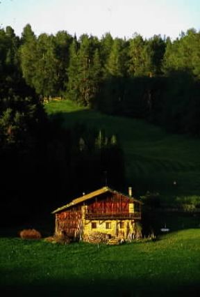 Fienile. Tipico casolare del Trentino-Alto Adige adibito, in parte, a fienile.De Agostini Picture Library/G. Roli