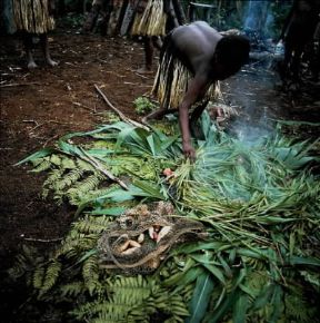 Oceania . Cottura del cibo presso una tribÃ¹ dei Dani, in Nuova Guinea.De Agostini Picture Library