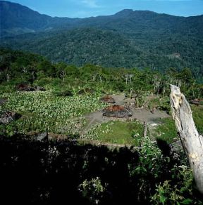 Papua . Un villaggio del gruppo Deni.De Agostini Picture Library