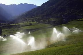 Irrigazione . Esempio di irrigazione a pioggia.De Agostini Picture Library/S. Vannini