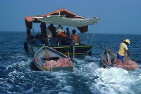 Pesca . Peschereccio tunisino si appresta a rientrare in porto con il carico di cernie.De Agostini Picture Library/E. Quemere