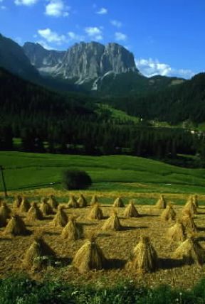 Trentino Alto-Adige. Mietitura a LongiarÃ¹, nella Val Badia.De Agostini Picture Library/A. Vergani