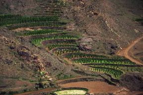 Yemen. Coltivazioni su un altopiano; le tecniche colturali sono assolutamente arcaiche.De Agostini Picture Library/L. Romano