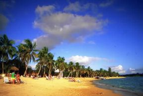 Repubblica Dominicana . Palmizi sulla spiaggia di La Romana, situata sulla costa sud-orientale. De Agostini Picture Library/D. Staquet