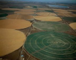 America. Cerealicoltura con sistemi di irrigazione nelle campagne a nord di Denver (U.S.A.).De Agostini Picture Library/PubbliAerFoto