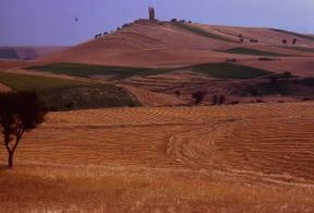 Daunia . Paesaggio con la torre Montecorvino sullo sfondo.De Agostini Picture Library/A. Tessore