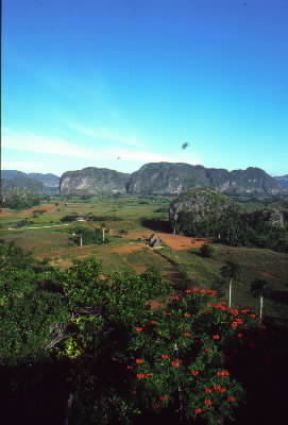 Cuba. Veduta della zona di Pinar del RÃ­o e sullo sfondo i mogotes.De Agostini Picture Library / V. Degrandi