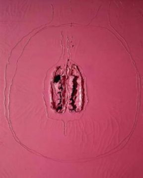 Arte informale . Concetto spaziale rosa di L. Fontana (1968; Milano, Collezione Privata).Fondazione L. Fontana