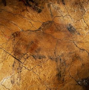 Grotta di Altamira. Particolare della decorazione rupestre con la raffigurazione di un cervo.Madrid, Ministero della Cultura