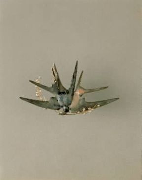 RenÃ© Lalique. Pendente con due rondini in oro smaltato e brillanti (Parigi, MusÃ©e des Arts DÃ©coratifs).Parigi, MusÃ©e des Arts DÃ©coratifs