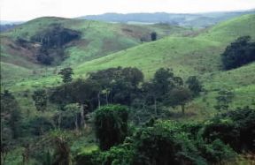 Repubblica popolare del Congo. Paesaggio nei pressi di Loubomo.De Agostini Picture Library/M. Bertinetti