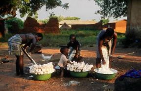 Benin . Preparazione della manioca.De Agostini Picture Library/C. Sappa