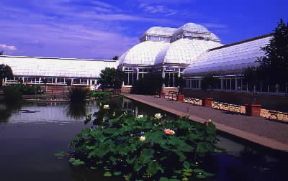 Bronx. Una veduta del giardino botanico.De Agostini Picture Library/Degrandi