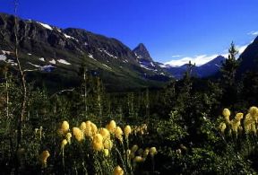 Stati Uniti . Il Glacier National Park, paesaggio tipico delle Montagne Rocciose nello Stato del Montana.De Agostini Picture Library/G. SioÃ«n